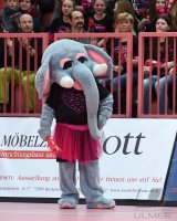 Handball 1. Bundesliga Frauen 14/15: TuS Metzingen - Bietigheim