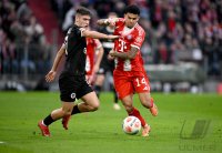 Fussball 1. Bundesliga  Saison  2025/2026  12. Spieltag 
FC Bayern Muenchen - FC St. Pauli