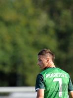 Fussball 1. Bundesliga, Saison 2010/2011, Werder Bremen, ARNAUTOVIC