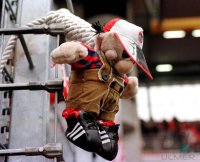 Fussball 1. Bundesliga