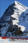 SKI   Weltcup  Wengen Lauberhornabfahrt  Herren  Feature