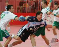 Handball 1. Bundesliga 2006/2007