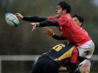 Rugby Laenderspiel Deutschland - Hongkong