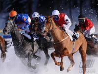 White Turf  St. Moritz 2010