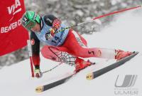 Ski Alpin; Abfahrt Training  Herren