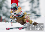 SKI   Weltcup  Abfahrt  Mnner Patrik Jrbyn (SWE)