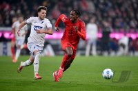 Fussball 1. Bundesliga 24/25: FC Bayern Muenchen - TSG 1899 Hoffenheim