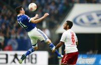 Fussball, 1. Bundesliga Saison 2012/2013: FC Schalke 04 - Hamburger SV