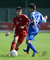 Fussball Regionalliga Sued 2012/2013:  FC Bayern Muenchen II - VfL Frohnlach