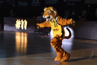 Basketball 2. Bundesliga 21/22: VfL Kirchheim Knight - Tigers Tuebingen