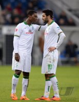 Fussball  1. Bundesliga  13/14: TSG 1899 Hoffenheim - SV Werder Bremen