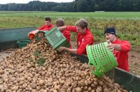 Volleyball  1. Bundesliga  15/16: Teambuildingevent TV Rottenburg
