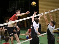 Volleyball 2. Bundesliga Saison 24/25: Testspiel TV Rottenburg - Barock Volleys Ludwigsburg