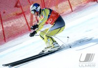 Ski Alpin  Herren  Abfahrt  Kitzbuehel 2013; Aksel Lund Svindal (NOR)