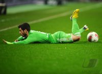 Fussball 1. Bundesliga Saison 12/13: VfL Wolfsburg - Hamburger SV