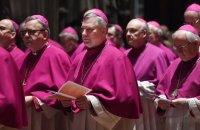 Vollversammlung Deutschen Bischofskonferenz Fruehjahr 2020