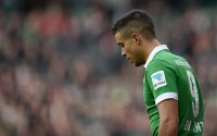 Fussball, 1. Bundesliga  Saison 2014/2015: Werder Bremen - FC Augsburg