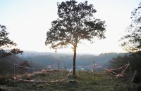 Kapffelsen Naturschutzgebiet am Rande des Abbaugebiet des Steinbruch Frommenhausen.