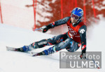 Olympische Winterspiele 2002 Abfahrt Herren