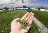 Fussball International  U 20 Weltmeisterschaft