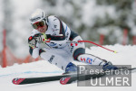 SKI   Weltcup  Abfahrt  Mnner Andreas Schifferer (AUT) belegt Platz 4