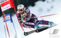 Ski Alpin  Herren Riesenslalom  Adelboden