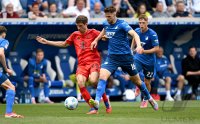 Fussball 1. Bundesliga 24/25: TSG 1899 Hoffenheim - FC Bayern Muenchen