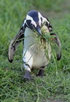 LAND UND LEUTE  FUSSBALL WM 2010