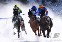 Pferdesport: White Turf  St. Moritz 2022