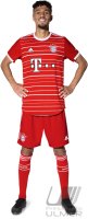 Fussball 1. Bundesliga Saison 22/23: Noussair Mazraoui (FC Bayern Muenchen)