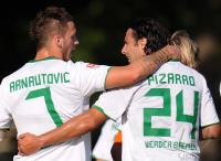 Fussball 1. Bundesliga, Saison 2010/2011, Werder: ARNAUTOVIC und PIZARRO