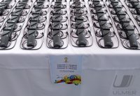 2014 FIFA World Cup, Preliminary Comptition Euro Zone Playoff Draw