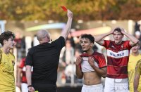 Fussball Oberliga 24/25: TSG Balingen - SG Sonnenhof Grossaspach