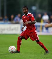 1. Fussball Bundesliga: Ze Roberto  (HSV)