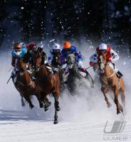 White Turf  St. Moritz 2010