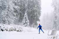 Schmuckbild, Wintersport, Skilanglauf auf dem Kniebis in Baiersbronn