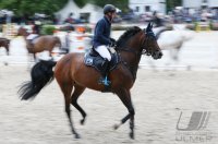 Reiten Tuebinger Landeschampionat 2017