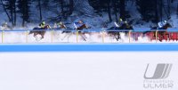 Pferdesport: White Turf  St. Moritz 2022