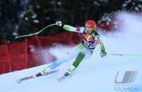 Ski Alpin Kitzbuehel 2015; Abfahrt Training Andrej Sporn (SLO)