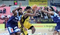 Basketball 2. Bundesliga 2021/2022: Tigers Tuebingen - Eisbaeren Bremerhaven