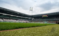 Fussball, 1. Bundesliga Saison 2012/2013: SV Werder Bremen - Eintracht Frankfurt