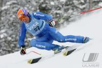 Ski Alpin; Abfahrt Training  Herren