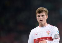 Fussball  1. Bundesliga  13/14: Timo Werner (VfB Stuttgart)