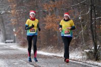 Laufen / Leichtathletik Nikolauslauf Tuebingen 2020