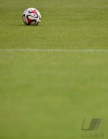 Fussball 1. Bundesliga Saison 14/15: VfB Stuttgart  - TSG 1899 Hoffenheim