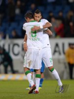 Fussball  1. Bundesliga  13/14: TSG 1899 Hoffenheim - SV Werder Bremen