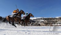Pferdesport:  White Turf  St. Moritz 2011   Flachrennen