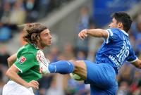 FUSSBALL 1. BUNDESLIGA: Bochum - Wolfsburg