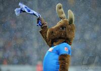 FUSSBALL 1. Bundesliga    Maskottchen HOFFI   (TSG 1899 Hoffenheim)