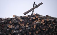 Schmuckbild, Wetterbild: Stammholzstapel wird Brennholz